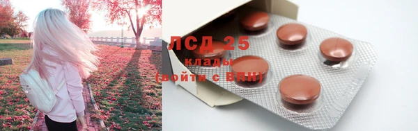 крисы Алексин