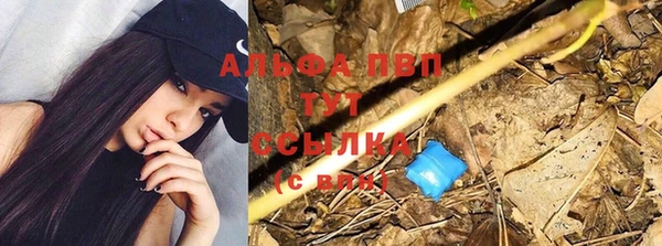 крисы Алексин