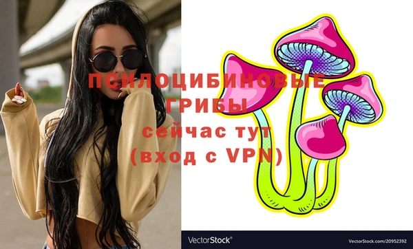 крисы Алексин
