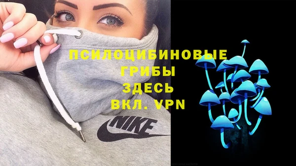 синтетический гашиш Алексеевка