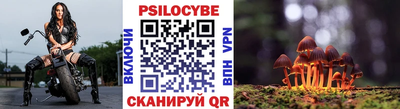 Галлюциногенные грибы GOLDEN TEACHER  купить наркотики сайты  Старый Оскол 